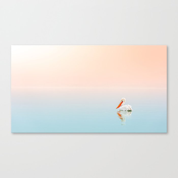 WHITE PELICAN ON BODY OF WATER Canvas Print