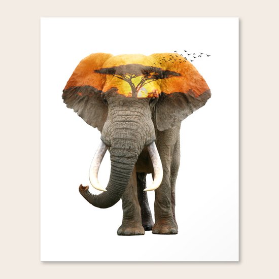 Elephant Canvas Print