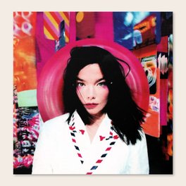 Best Canvas Prints 2021 Bjork Canvas Prints for Any Decor Style | Society6