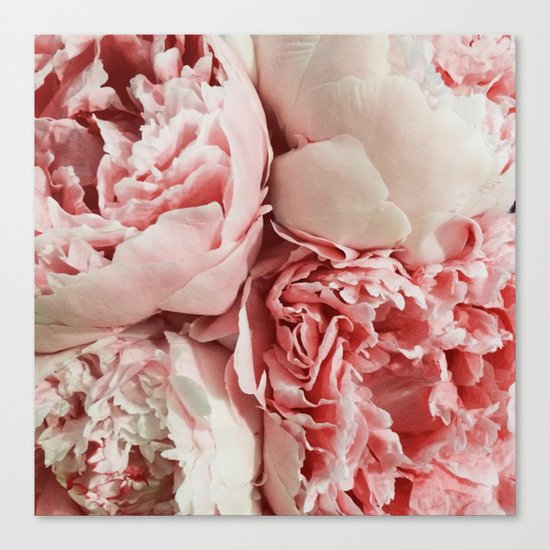 Pink Peonies Canvas Print