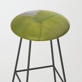 A soft promise of new beginnings Bar Stool