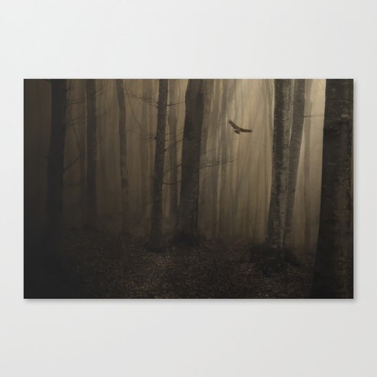 Return to the light Canvas Print