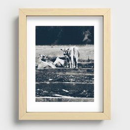Highway Cows - Support my small business Recessed Framed Print