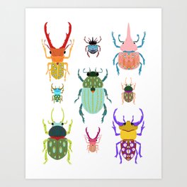 Beetles Illustration Art Print