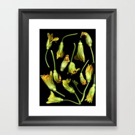 Squash Blossoms Framed Art Print