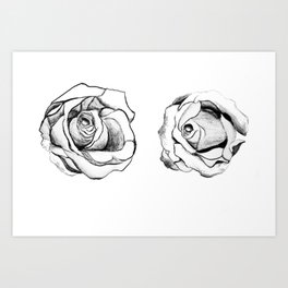 Two Roses for my Friends Art Print