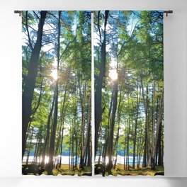 Tree Grove & Lake Sunrise Blackout Curtain