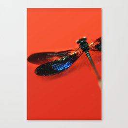 Dragonfly on Red 2 Canvas Print