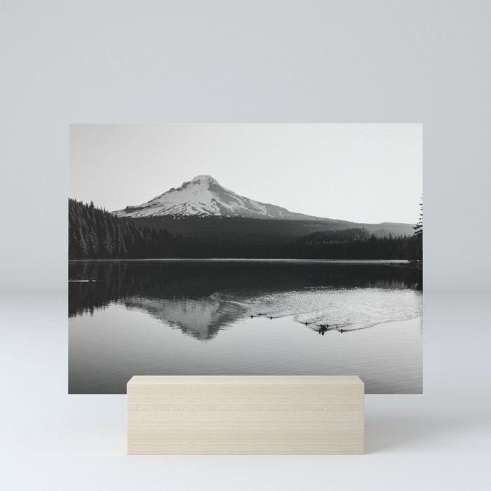Mini Art Print