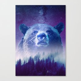 Grizzly Bear  Canvas Print
