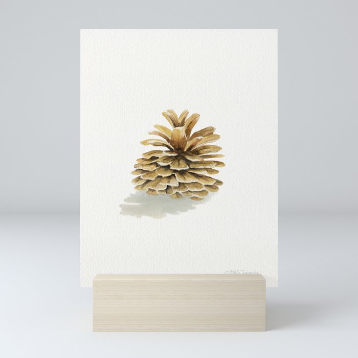 Pine Cone 1  Mini Art Print