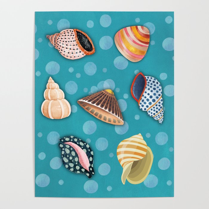 Seashells and Bubbles Poster