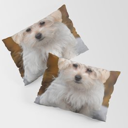 Maltese Puppy Pillow Sham