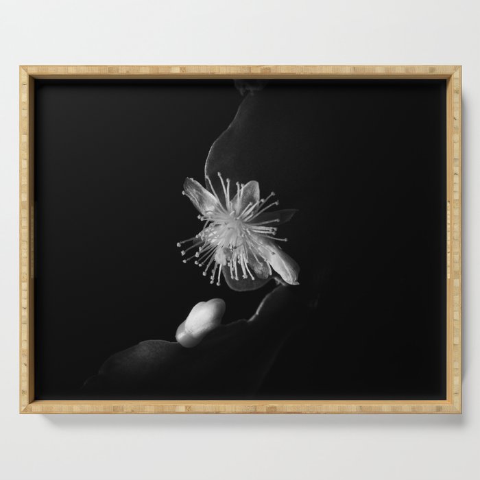 Minimalistic Black and white photography of a cactus flower Serving Tray