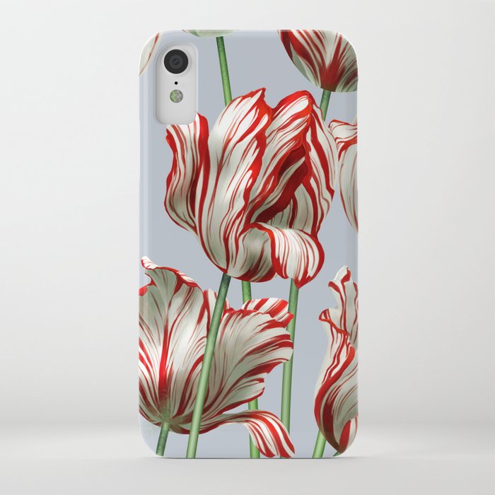 Semper Augustus Tulips iPhone Case