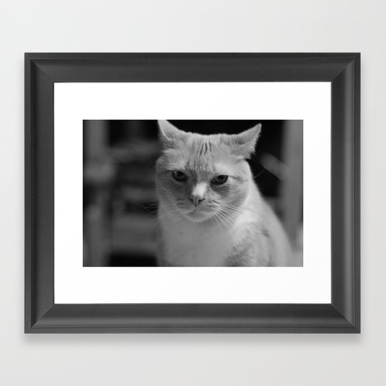 Julius - Whiteout 3 Framed Art Print