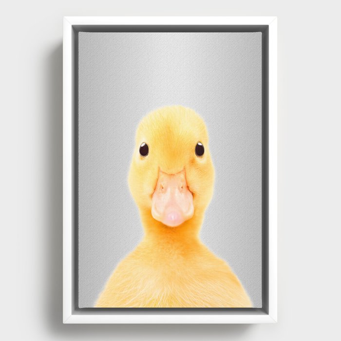 Duck Portrait - Framed Canvas