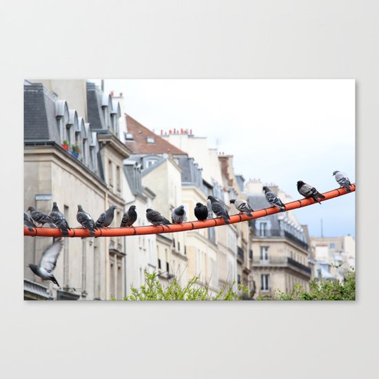Bird talk Canvas Print