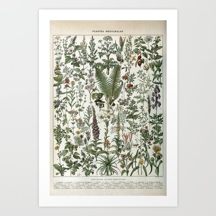 Art Print