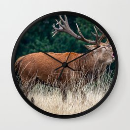 The Stag. Wall Clock
