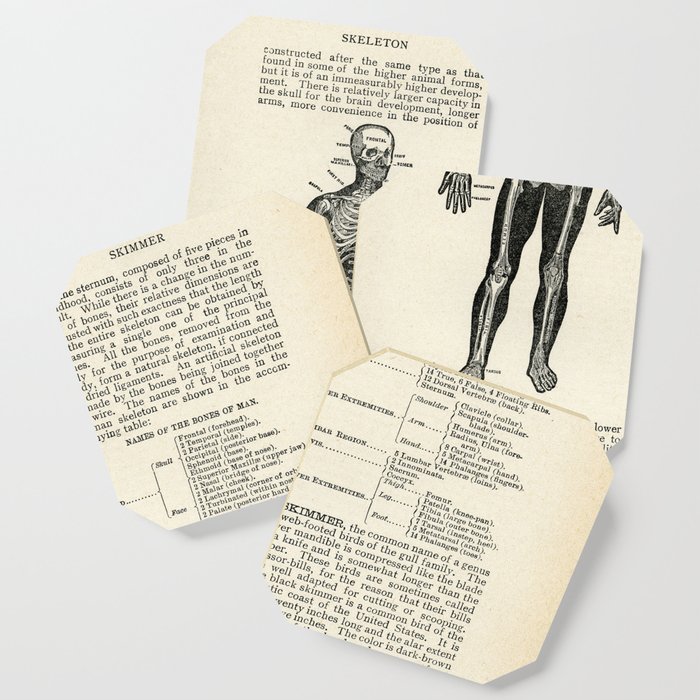 Vintage Dictionary Page Anatomy Skeleton  Coaster
