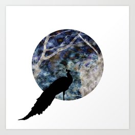 Peacock Worlds Art Print