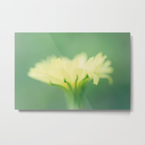 Fairy Night-light Metal Print