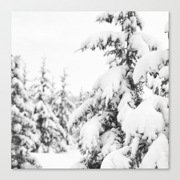 White winter Canvas Print