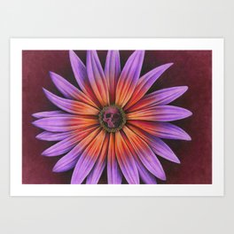 Flower Skull Art Print