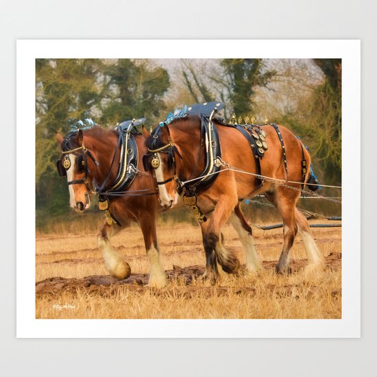 Work Horses Art Print