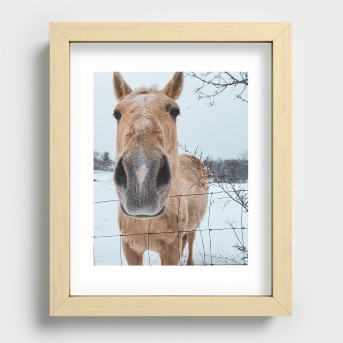 Horse Up-Close in the Snow Recessed Framed Print