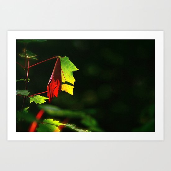 Play of light Art Print