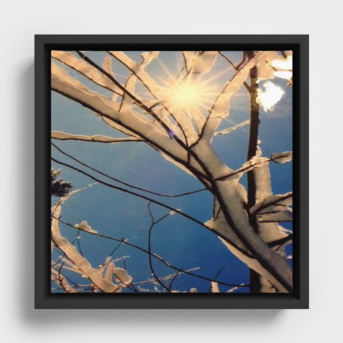 Sylvan Ice Tree Framed Canvas