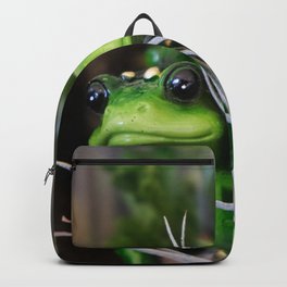 Adorable Ceramic Frogs Backpack | Frogs, Gardening, Adorablefrog, Cutefrog, Urbanart, Adorable, Photo, Ceramic, Domesticscene, Reptiles 