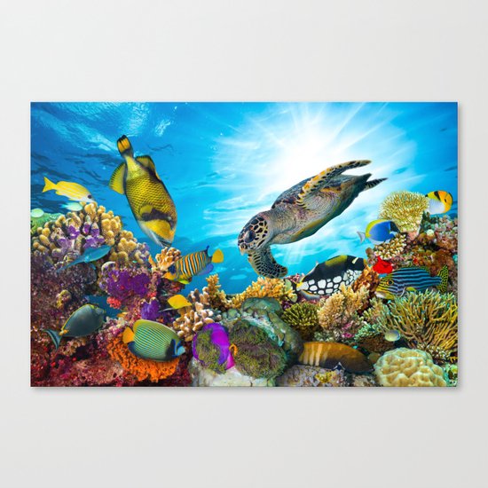 sea life Canvas Print