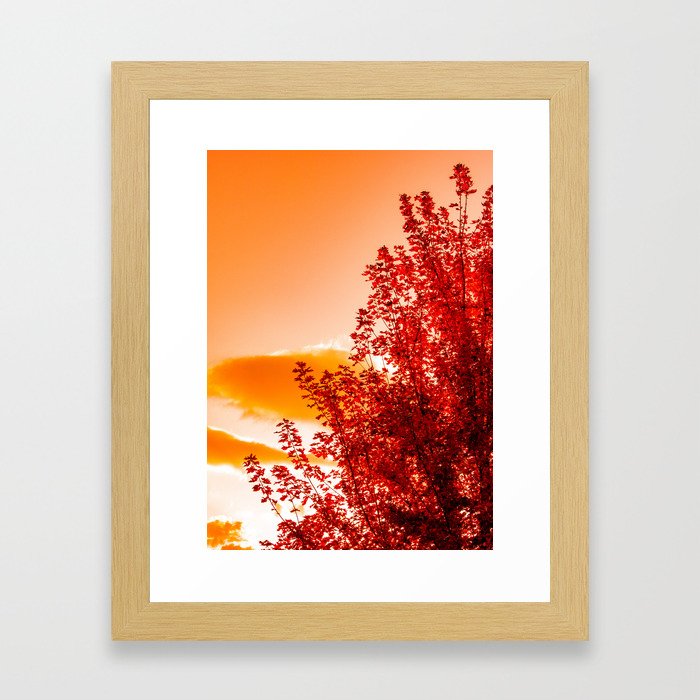 Red Autumn 2 Framed Art Print