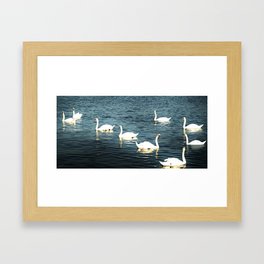 Swan Lake Framed Art Print