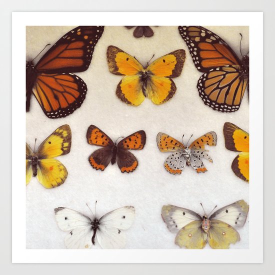 Specimin Art Print