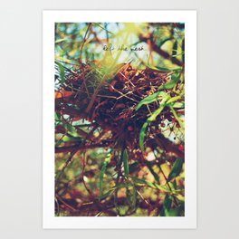 Nest Art Print