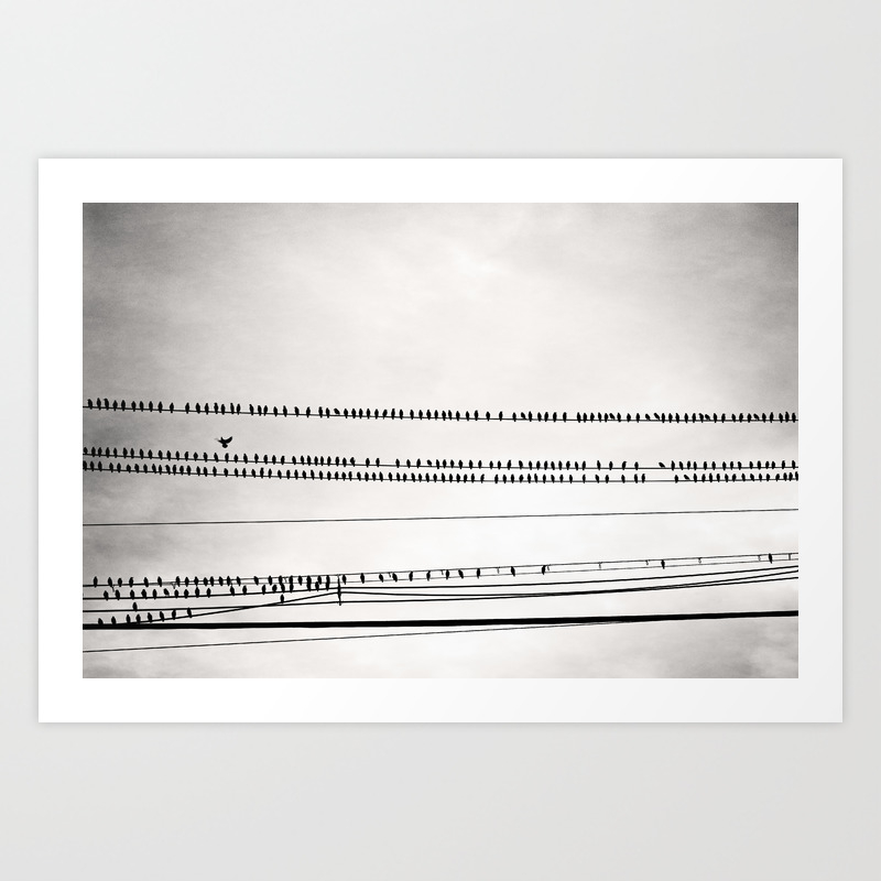 Birds On Wire Black And White Photography Birds On Telephone