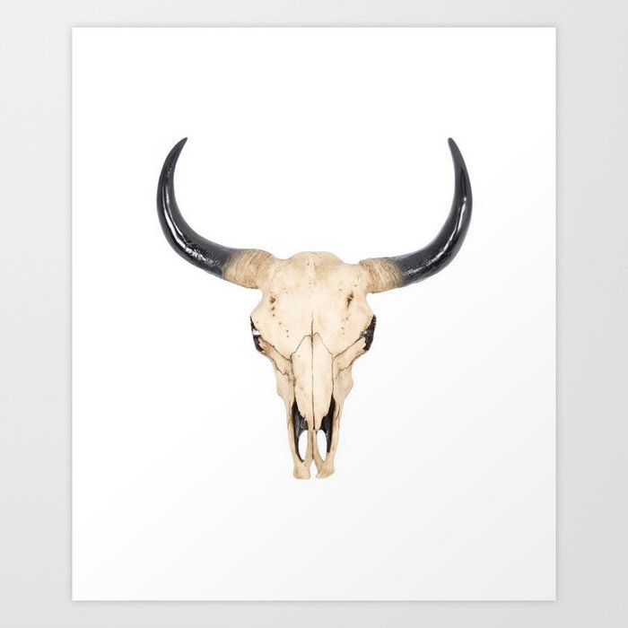 bull skull art print by dimenticare society6