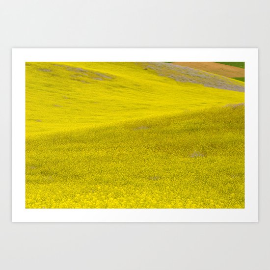 Fields of flowers Art Print