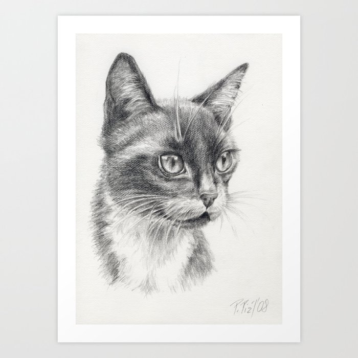 Black Cat Portrait Black White Graphite Pencil Drawing Art Print By Canisart Society6