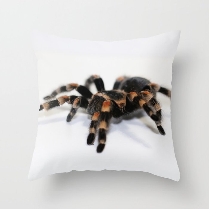 Tarantula Throw Pillow