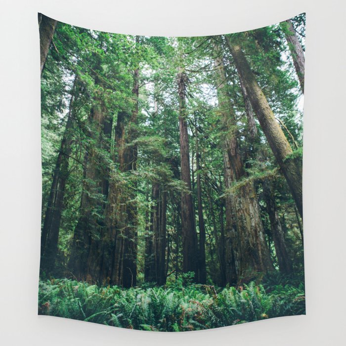 Redwood Forest Wall Tapestry
