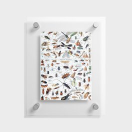 Insectes 2 by Adolphe Millot Floating Acrylic Print