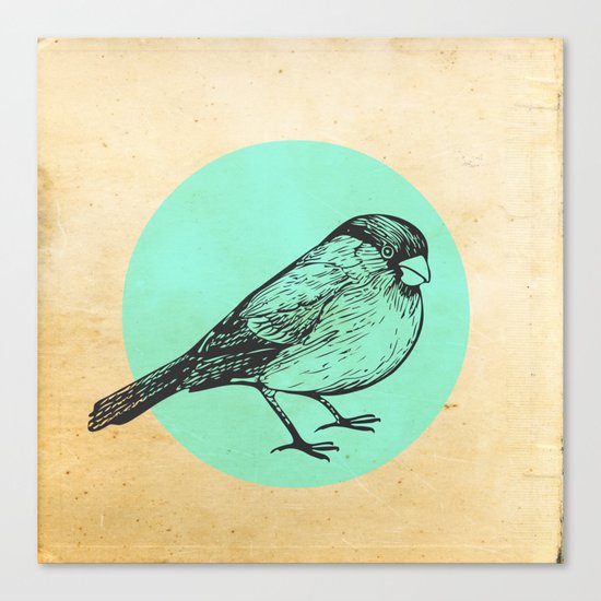 Spotted bird Canvas Print