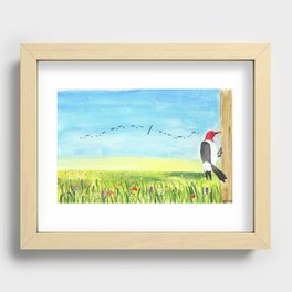 Red Headed Woodpecker Morse Code - "Fuck Off" Recessed Framed Print