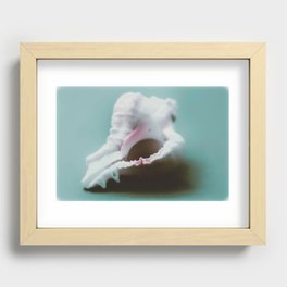 Conch Shell Recessed Framed Print
