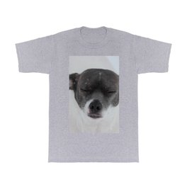 Tonto in the Snow T Shirt